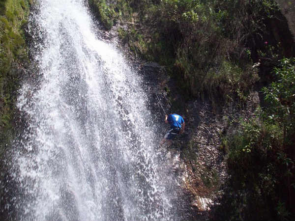 പരിശീലകന്റെ സഹായം