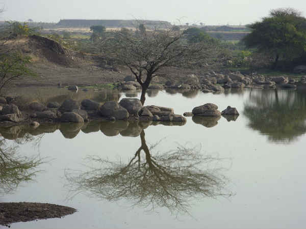കൂടുതല്‍ ചിത്രങ്ങള്‍