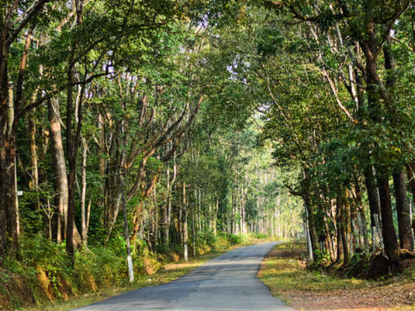 ട്രെക്കിംഗ്