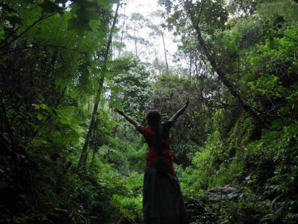 09. മൈന മാത്രമല്ല