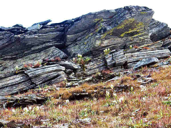 നന്ദാദേവി