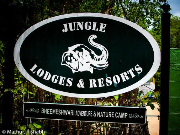 02. ജംഗിൾ റിസോർട്ട് 