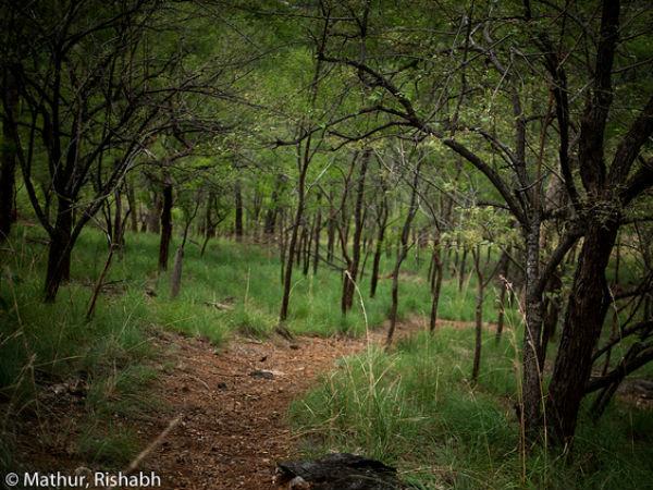04. ട്രെക്കിംഗ്