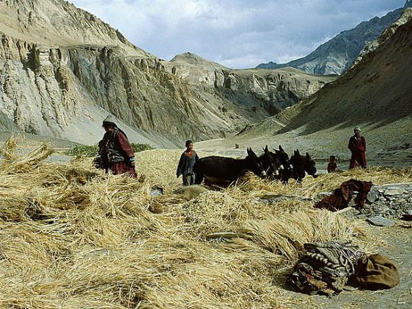 02. ലഡാ‌ക്ക് - ഏറ്റവും മിക‌ച്ച ഹിമാലയന്‍ കാഴ്ച