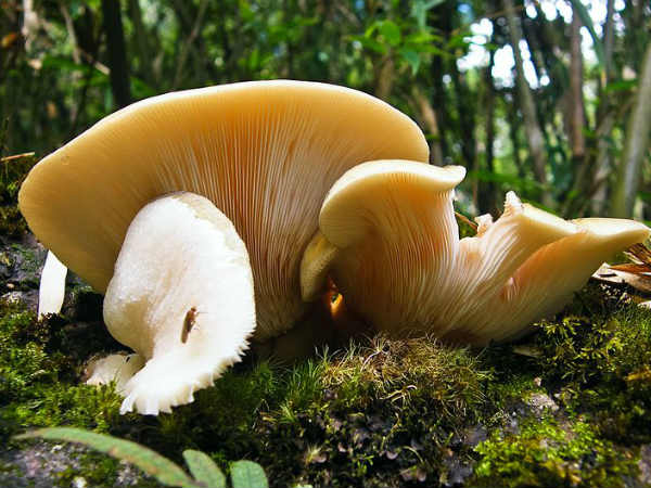 02. സര്‍പ്രൈസുകളുടെ കയറ്റങ്ങള്‍