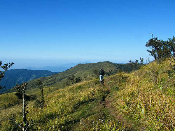 13. പുല്‍മേട്