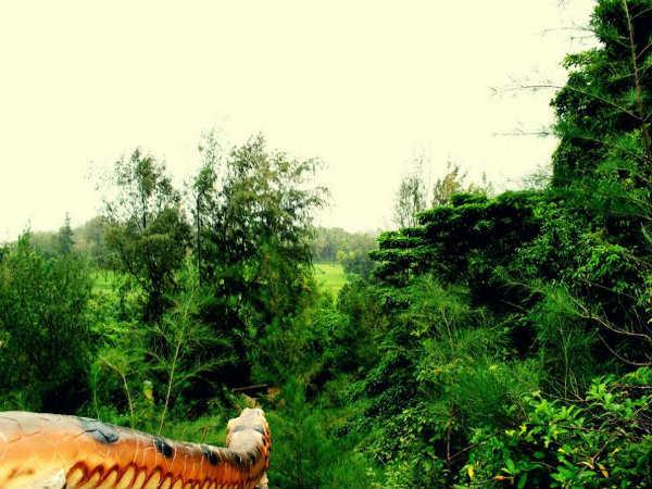 എത്തിച്ചേരാന്‍