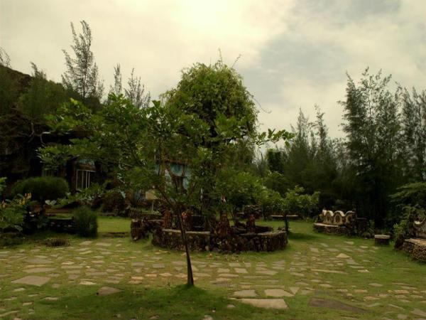 കൂടുതൽ ചിത്രങ്ങൾ