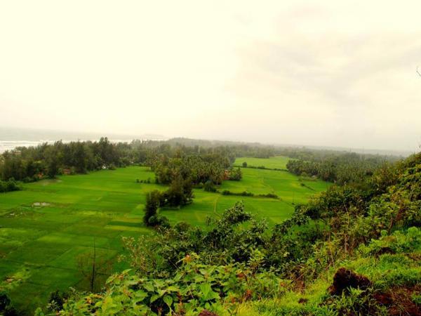 കൂടുതൽ ചിത്രങ്ങൾ