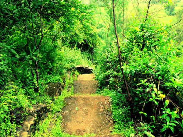 ട്രെക്കിംഗ്