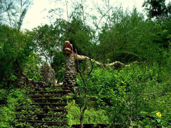 കൂടുതൽ ചിത്രങ്ങൾ