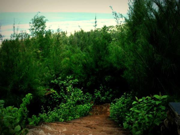 കൂടുതൽ ചിത്രങ്ങൾ