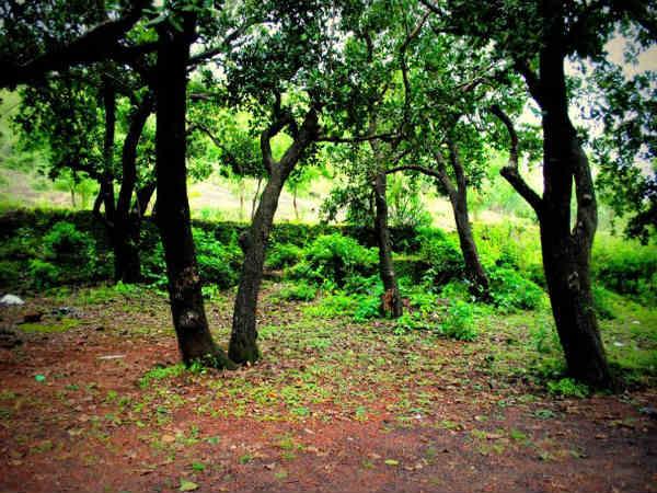 കൂടുതൽ ചിത്രങ്ങൾ