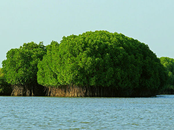 Tamil Nadu, Boating, തമിഴ് നാട്, ബോട്ട് യാത്ര