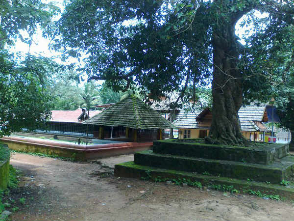 4 അംബികമാരെ പരിചയപ്പെടാം