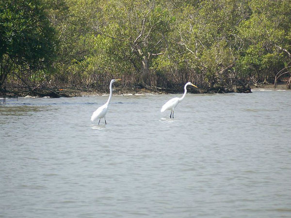 Tamil Nadu, Boating, തമിഴ് നാട്, ബോട്ട് യാത്ര