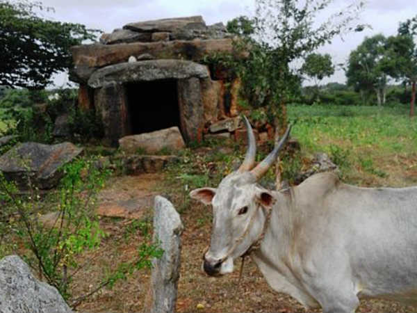 15. നഞ്ച‌ന്‍ഗുഡ്, 23 കിലോമീറ്റര്‍