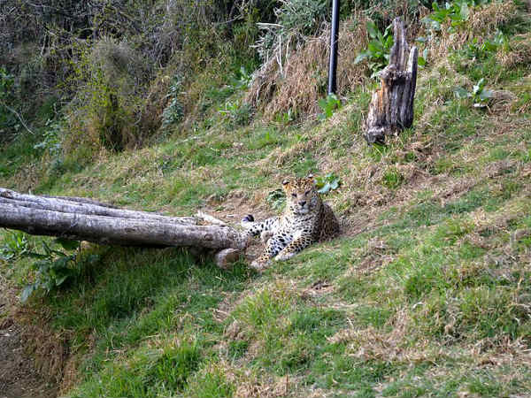 10. സീതാബനി