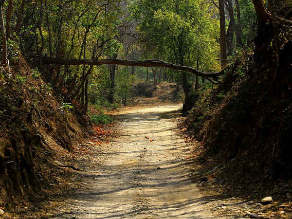 14. ക്യ‌രി ക്യാമ്പ്