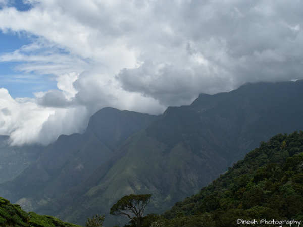 മൂന്നാറില്‍ നിന്ന്