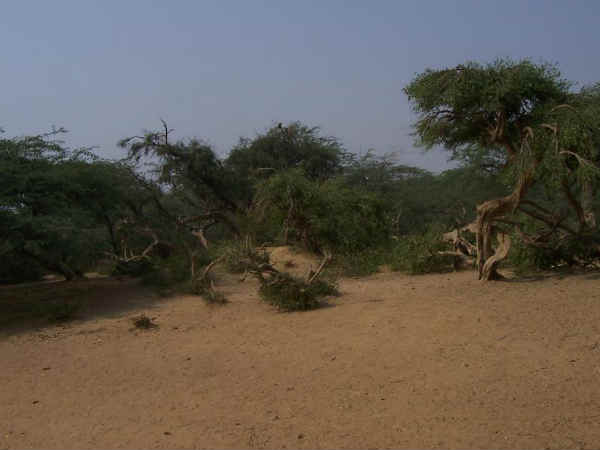 ഗോവര്‍ദ്ധന പര്‍വ്വതത്തിന്റെ ‌തരികിട