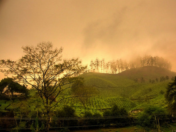 റിസോർട്ടുകൾ, മൂന്നാര്‍