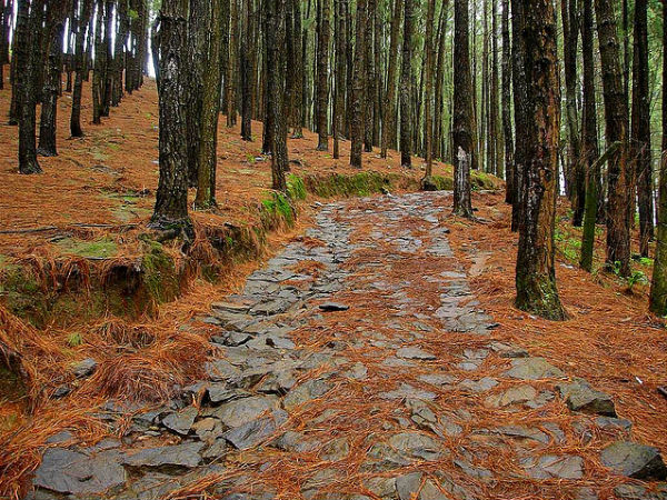 റിസോർട്ടുകൾ, വാഗമണ്‍