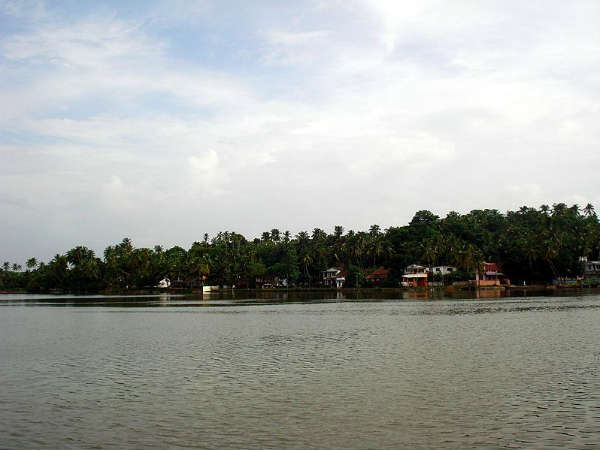 ഏറ്റവും വലിയ പ്ലൈവുഡ് കമ്പനി