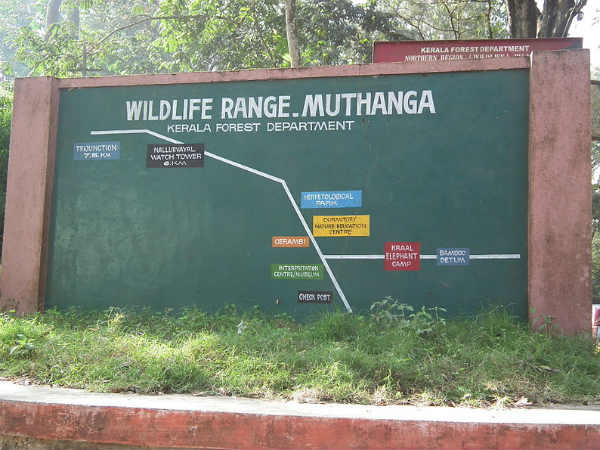 പ്രധാന ആക്റ്റിവിറ്റികൾ