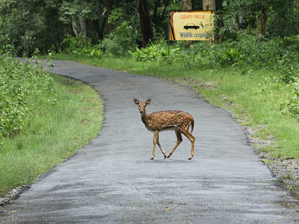 എത്തിച്ചേരാ‌ൻ