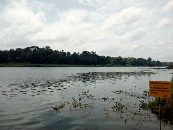 ആറ് മുളകൾ