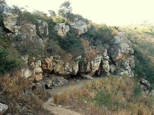 സട്ടപാണി