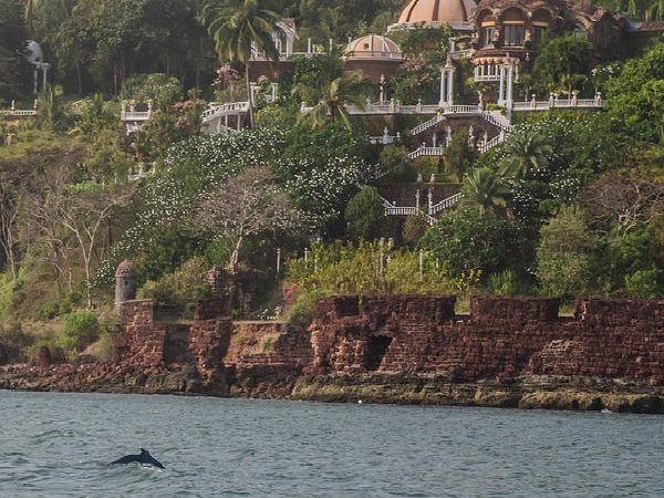 13. ഡോള്‍ഫിന്‍ ക്രൂയിസ് 