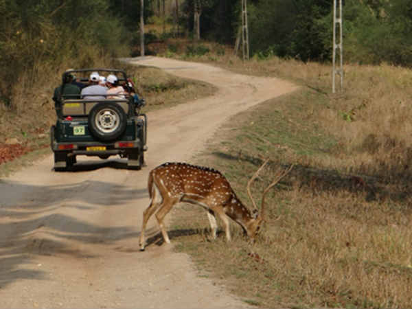 05. നാഷണൽ പാർക്കിലേക്ക്