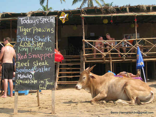 ഭക്ഷണ പ്രിയർക്ക്