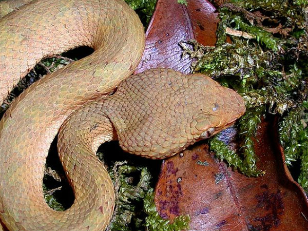 നിറം മാ‌റ്റം