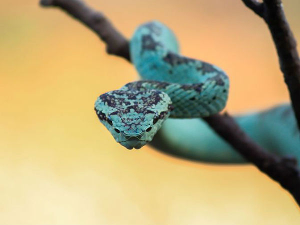 സുന്ദരൻ