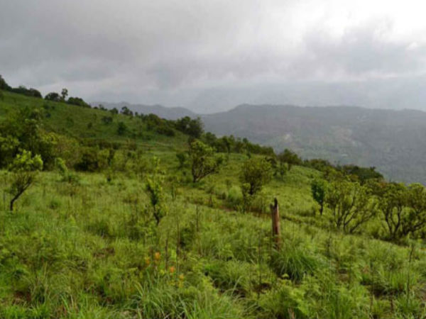 07. പാൽക്കുളമേട്