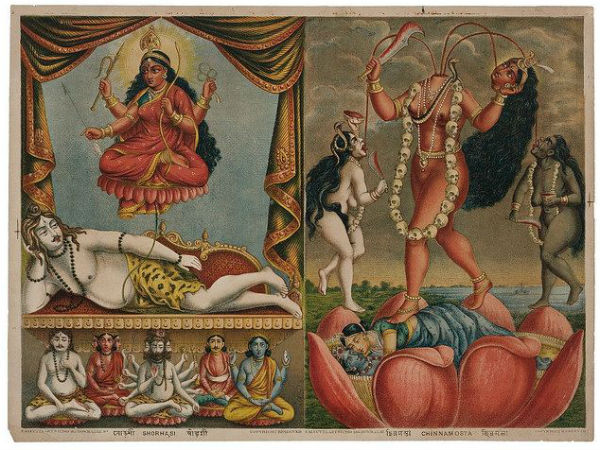 സ്തനങ്ങൾ