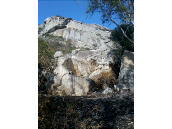 10. ടിപ്പൂസ് ഡ്രോപ്പ് 