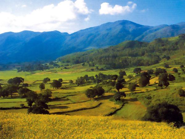 15. അരക്കുവാലി, ആന്ധ്രപ്രദേശ്