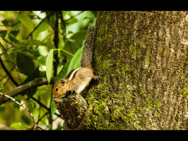 കാഴ്ചകൾ
