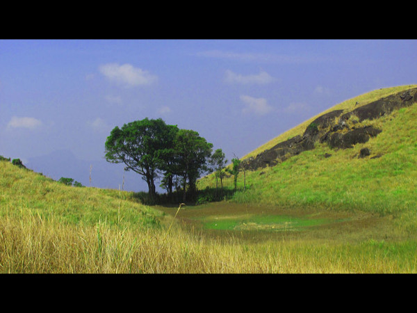 ട്രെക്കിംഗിനേക്കുറിച്ച്