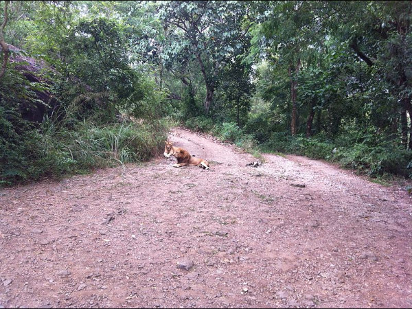 04. ട്രെക്കിംഗ്