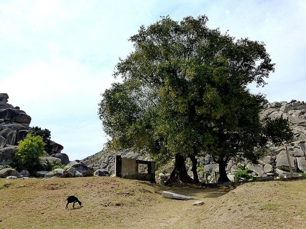 പകൽ യാത്ര സുരക്ഷിതം