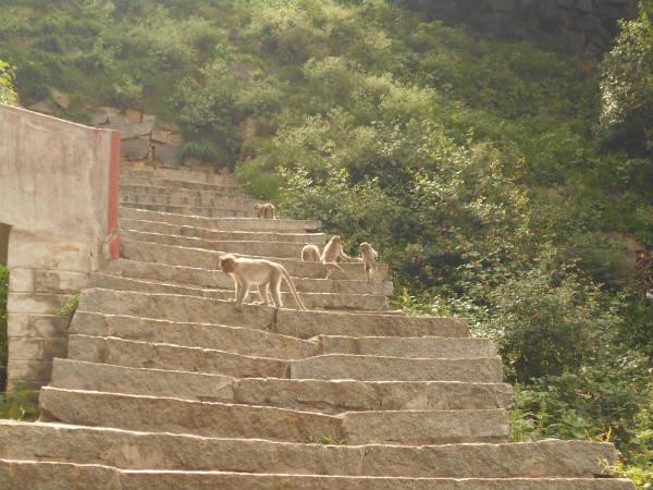  ബസില്‍ യാത്ര ചെയ്യുമ്പോള്‍ 