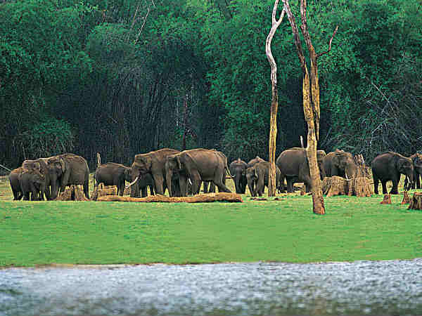 09. തേക്കടി