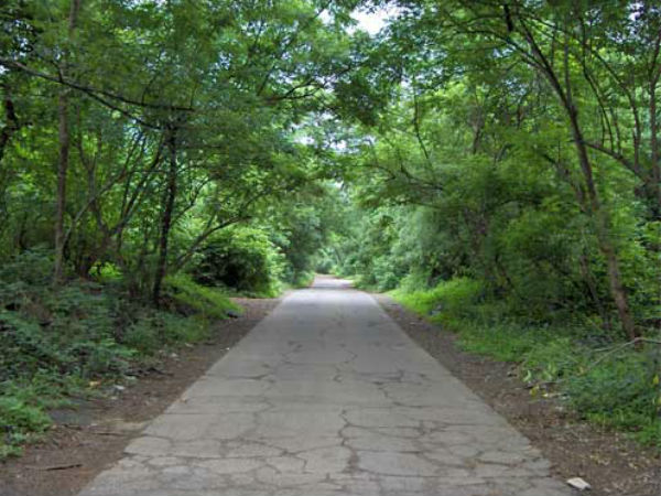 നടപ്പാതകൾ