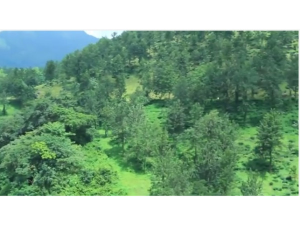 അമ്പനാട് ഹിൽസ്; കൊല്ലംകാരുടെ മൂന്നാർ