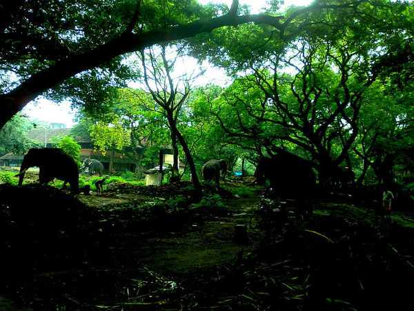 ആനക്കോട്ട ആയി മാറിയ വടക്കൻ വീരഗാഥയിലെ കൊട്ടാരം 